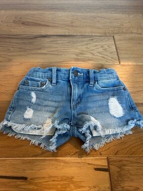 Tractr Light Blue Distressed Denim Shorts with Frayed Hem